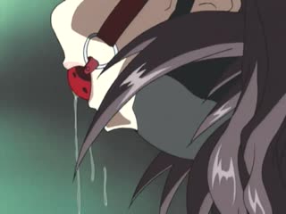 (18禁アニメ) [2003-11-28]（无修正）[DISCOVERY] PIGEON BLOOD -ピジョンブラッド- 1st Trainig